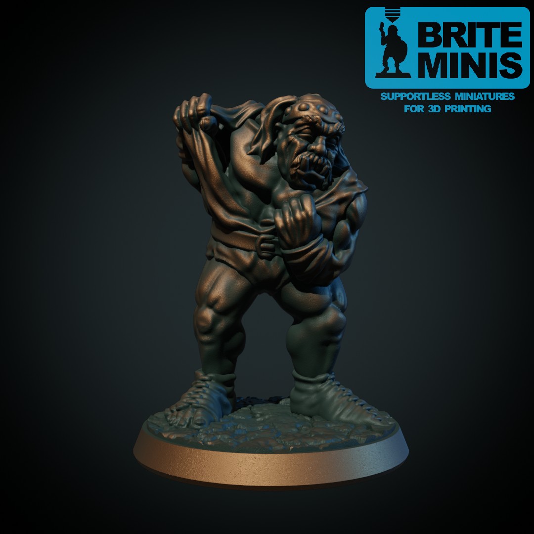 Ogre brawler